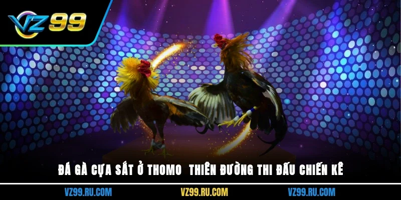Đá gà cựa sắt